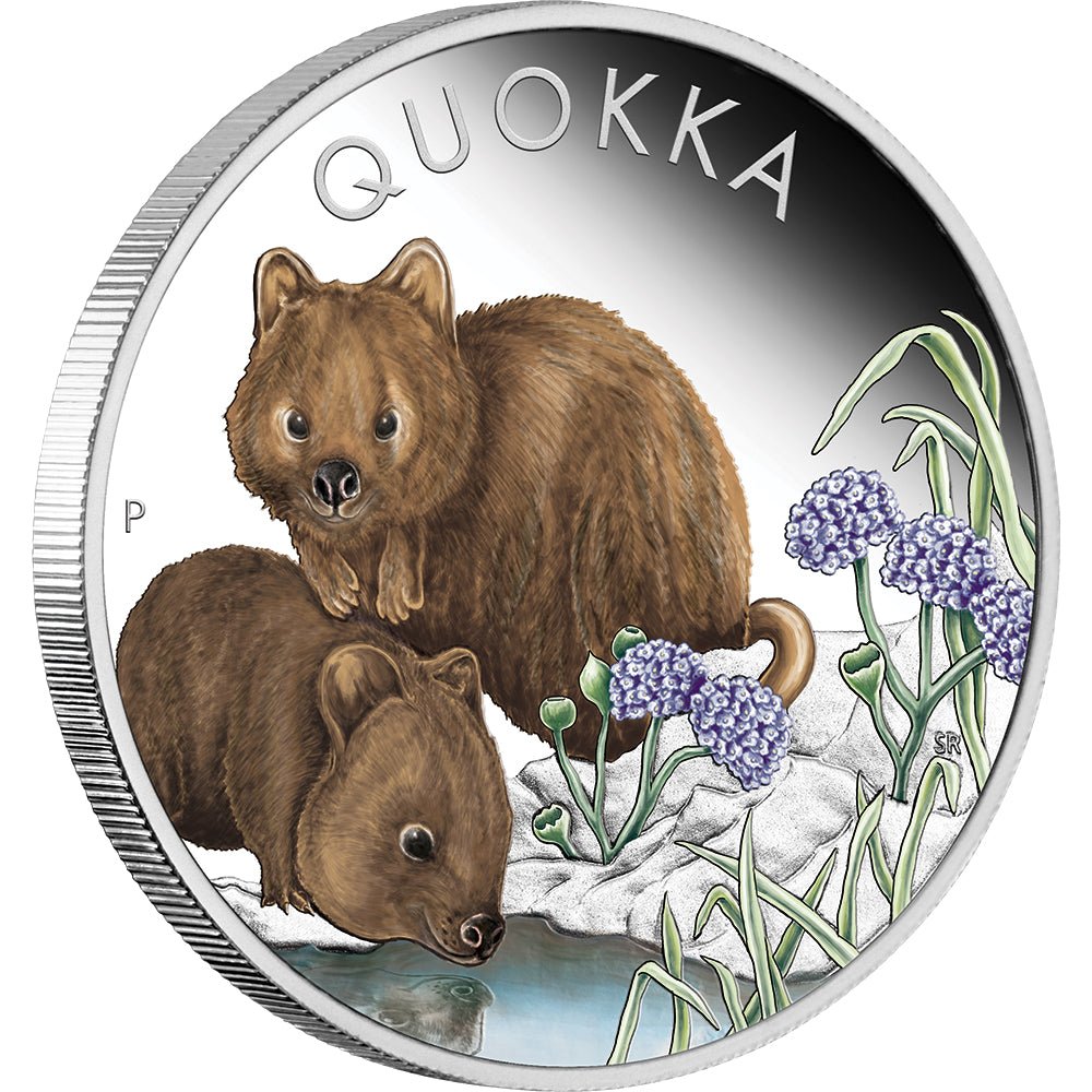 2023 Australian Quokka 1oz Silver Proof Coloured Coin - Direct Coins