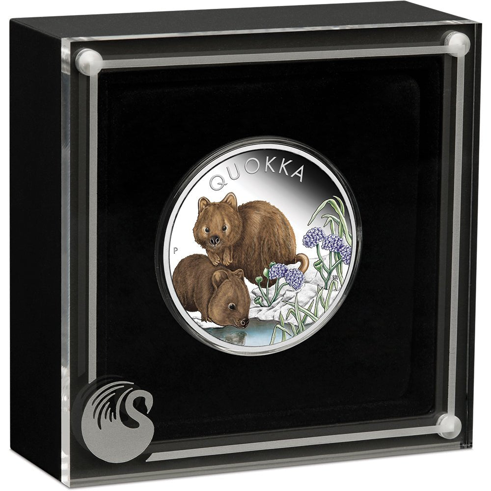 2023 Australian Quokka 1oz Silver Proof Coloured Coin - Direct Coins