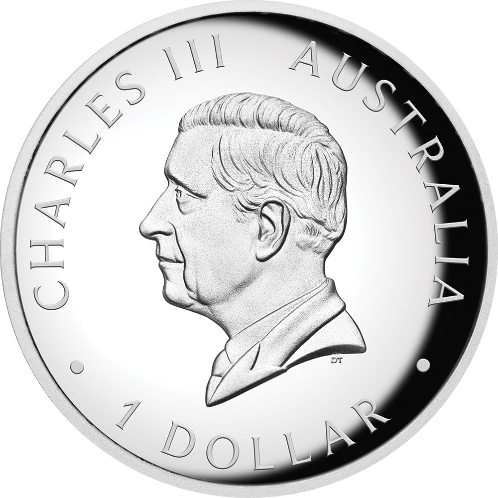 2024 Australian Kangaroo 1oz Silver Proof High Relief Coloured Coin - Direct Coins