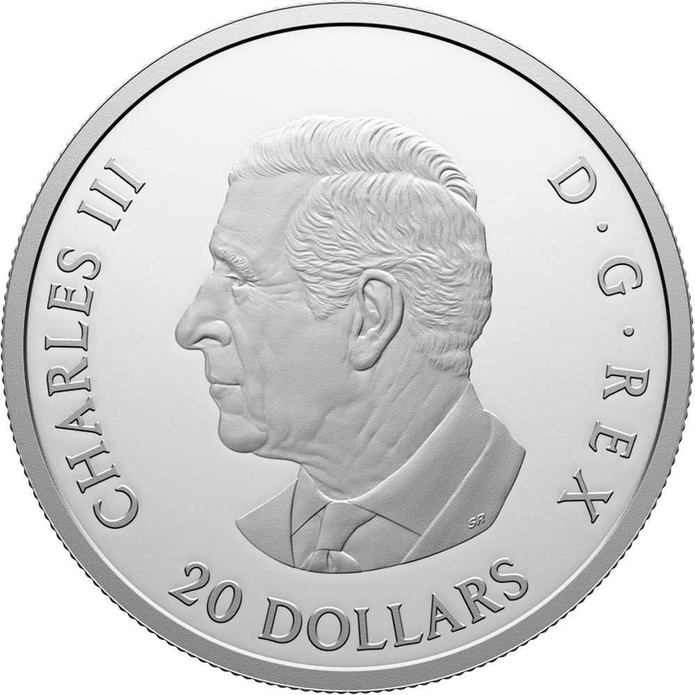 2025 $20 Colourful Birds - Baltimore Oriole 1oz Pure Silver Coin - Direct Coins