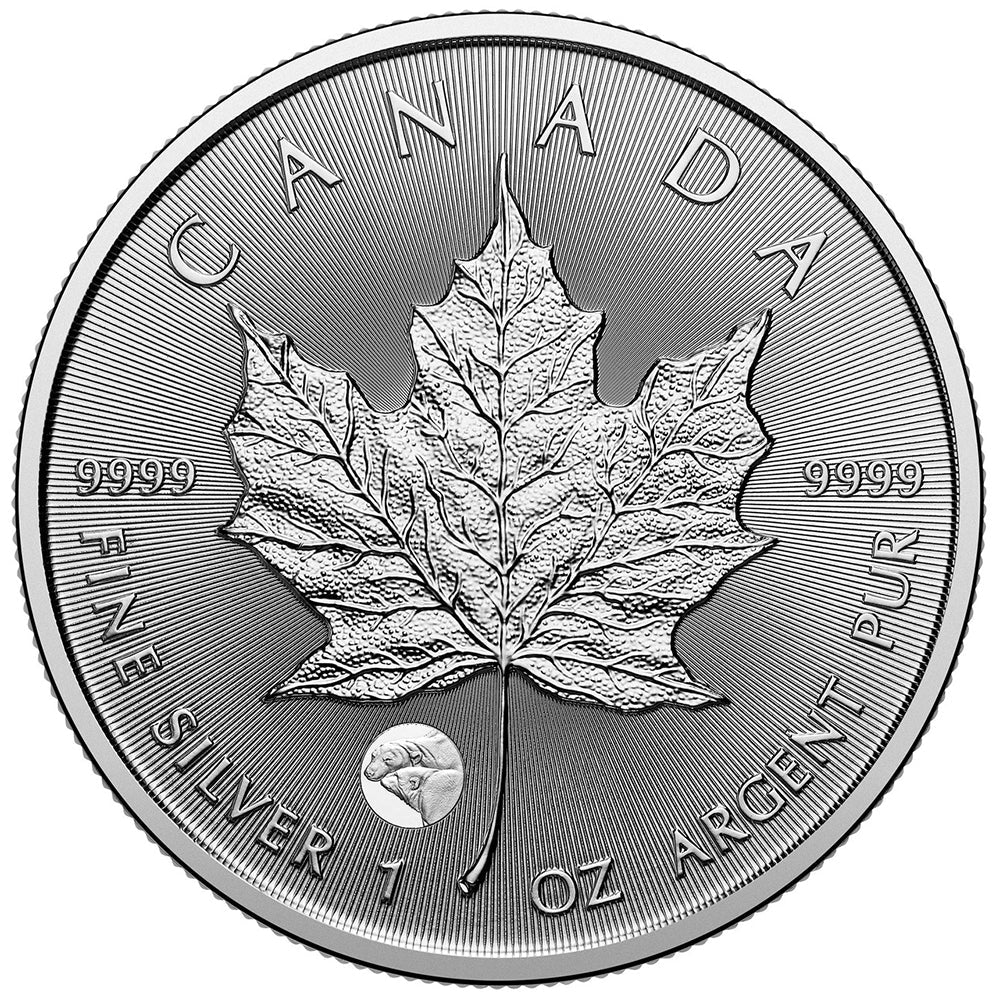 2025 $5 1oz 99.99% Pure Silver Coin: Treasured Maple Leaf (Premium Bullion) - Direct Coins