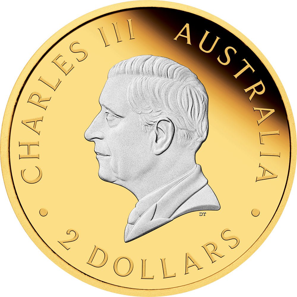 2025 Australian Kangaroo 2oz Silver Proof Reverse Gilded Coin - Direct Coins