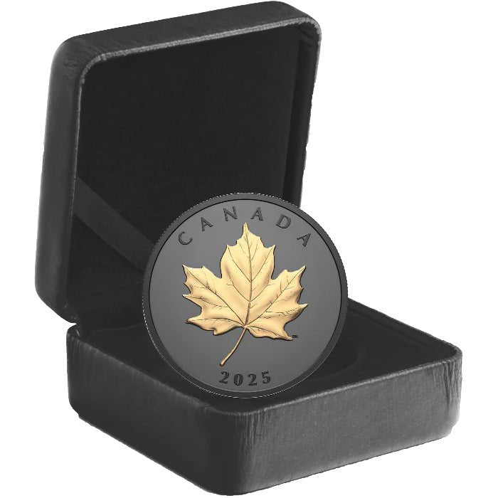 2025 Gilded Elegant Maple - 1oz Fine Silver Coin Case