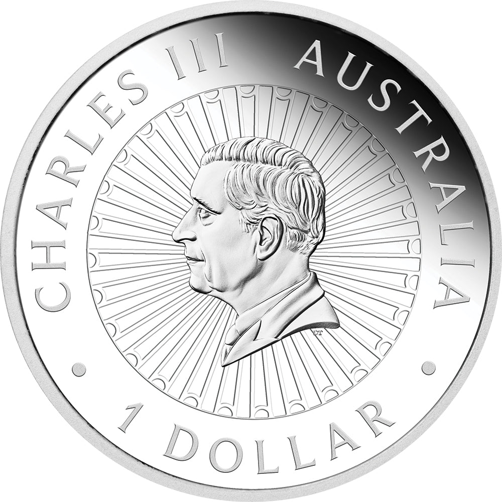2025 Great Southern Land 1oz Silver Proof Snakeskin Jasper Coin Obverse