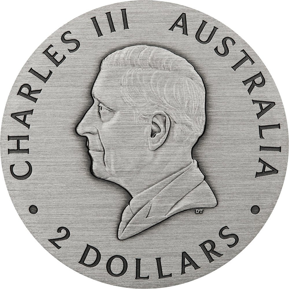 2025 Honey Bee 2oz Silver Antiqued Coloured Coin Obverse