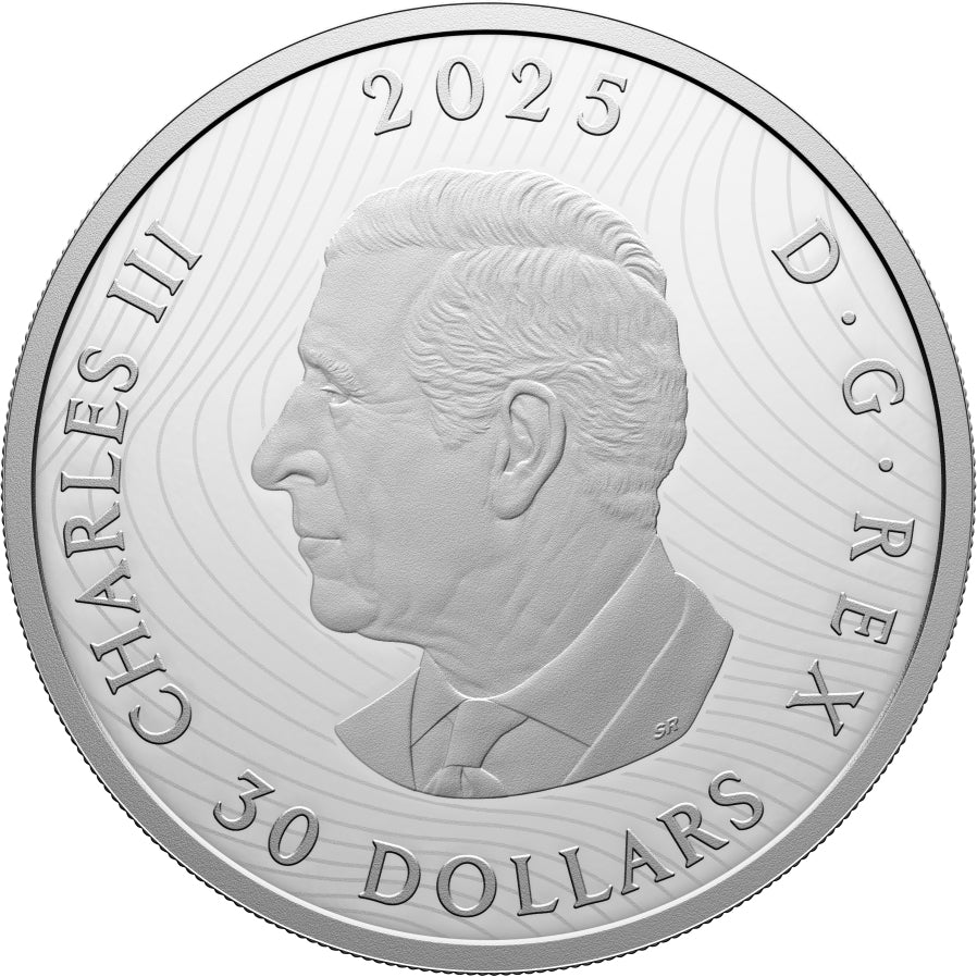 2025 Magic Of The Northern Lights – 2oz. Fine Silver Coin - Direct Coins