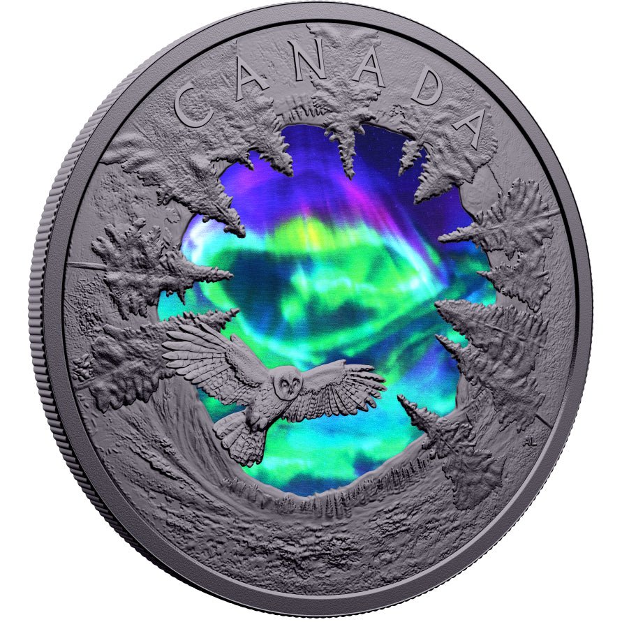 2025 Magic Of The Northern Lights – 2oz. Fine Silver Coin - Direct Coins