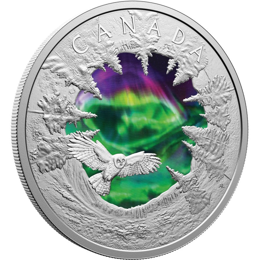2025 Magic Of The Northern Lights – 2oz. Fine Silver Coin - Direct Coins
