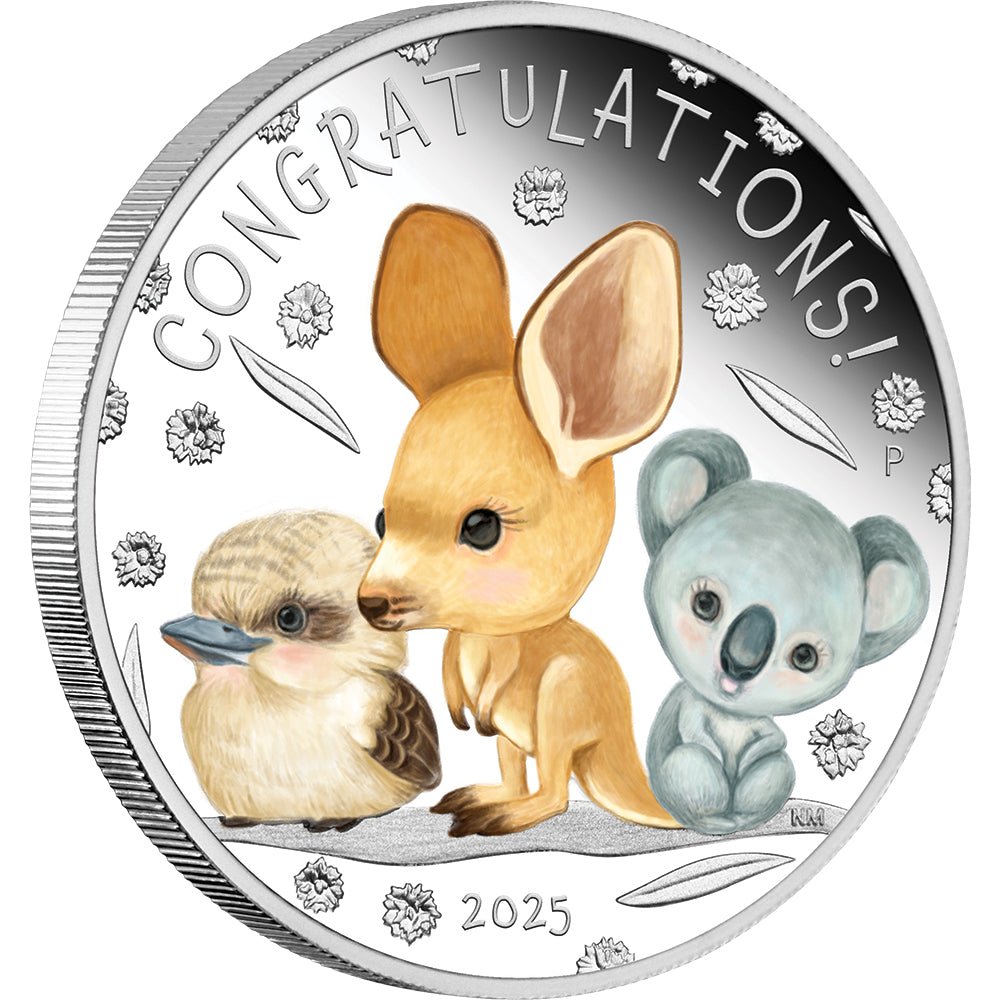 2025 Newborn Baby 1/2oz Silver Proof Coloured Coin - Direct Coins