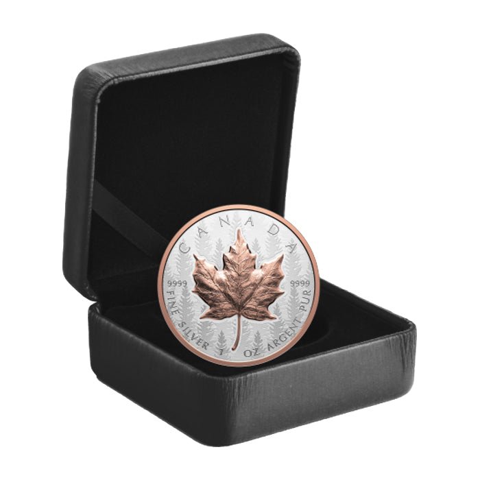 2025 Silver Maple Leaf – 1oz Fine Silver Ultra-High Relief Coin Case