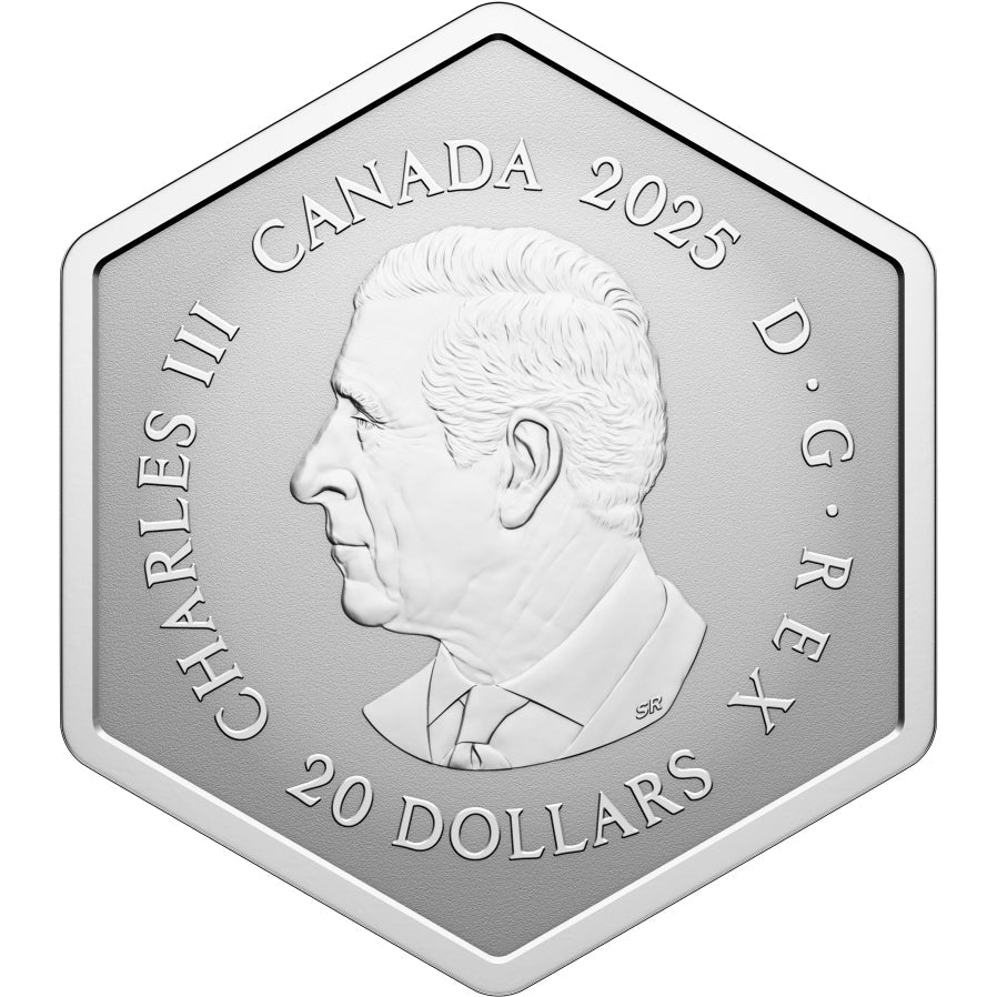 2025 Snowflake - 1oz Fine Silver Coin Obverse