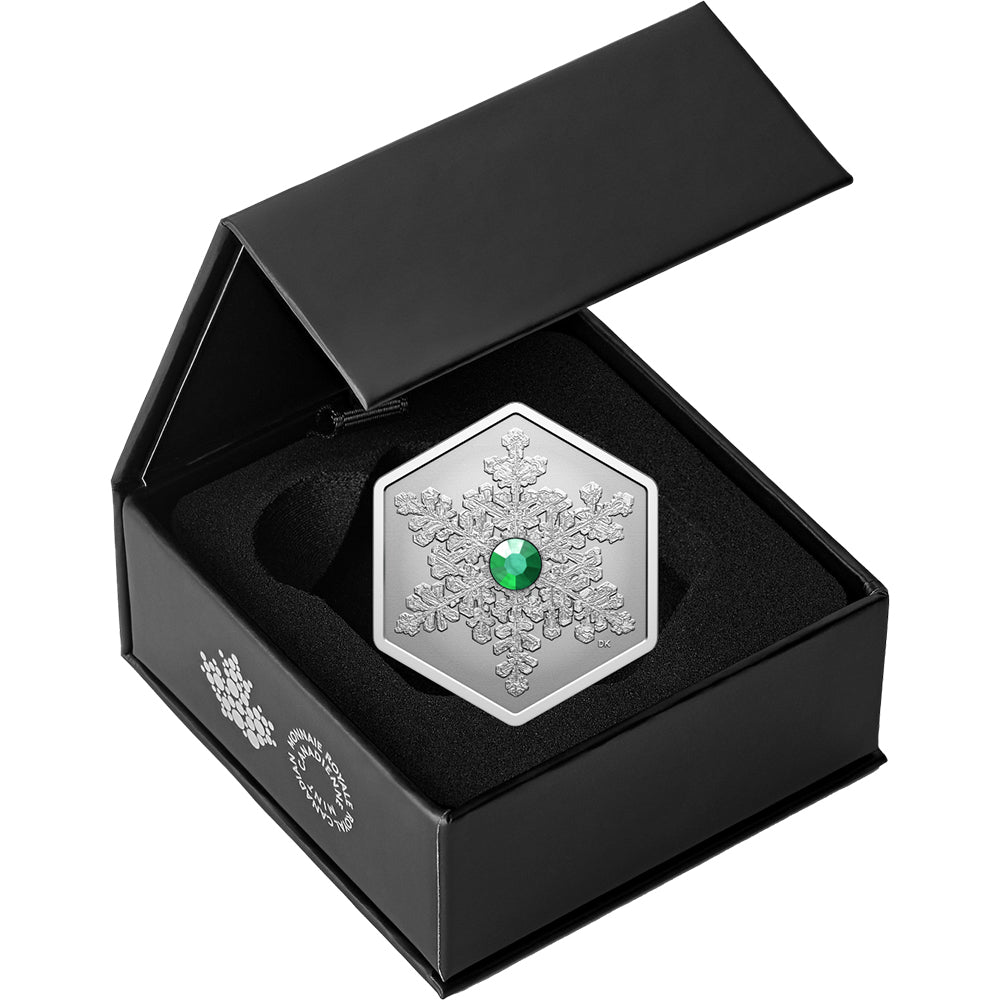 2025 Snowflake - 1oz Fine Silver Coin Case