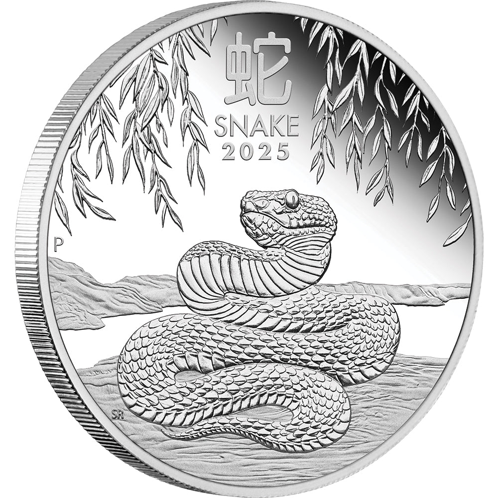 2025 Year Of The Snake 1/2oz Silver Proof Coin - Direct Coins