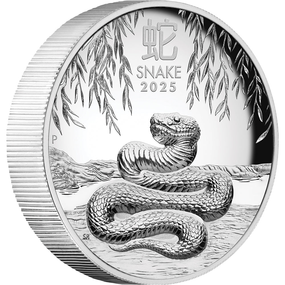 2025 Year Of The Snake 1oz Silver Proof High Relief Coin - Direct Coins