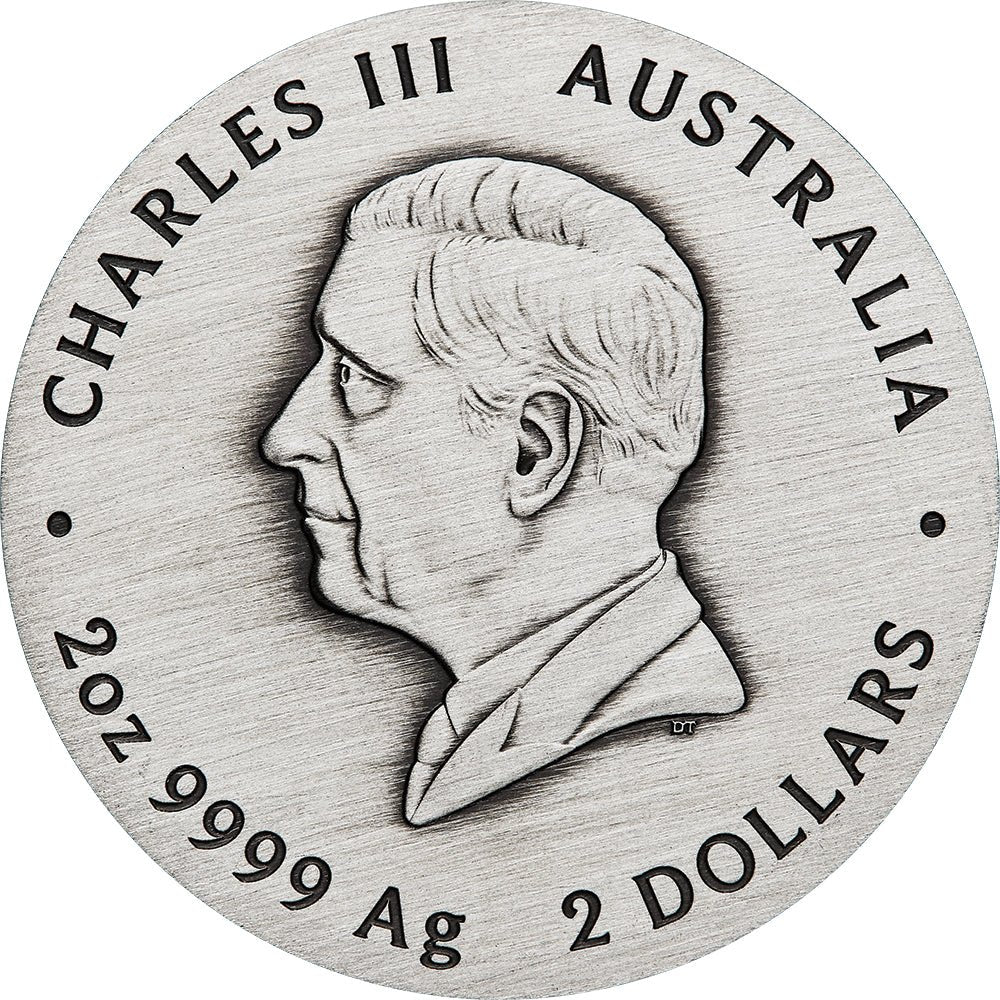 2025 Year Of The Snake 2oz Silver Antiqued Coin - Direct Coins