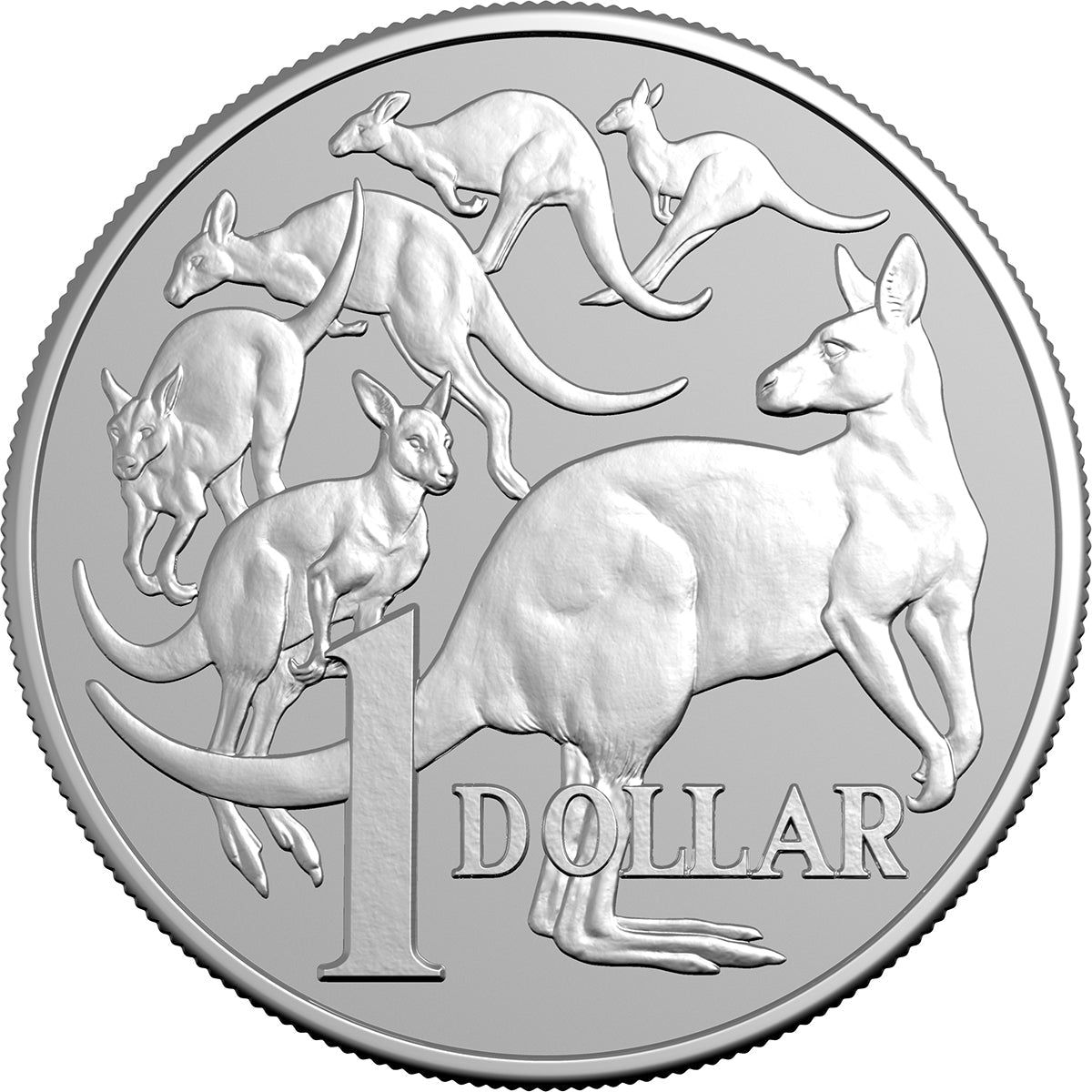 2026 $1 Kangaroo Series - Mob Of Six Roos 1oz Silver Frosted Uncirculated Coin