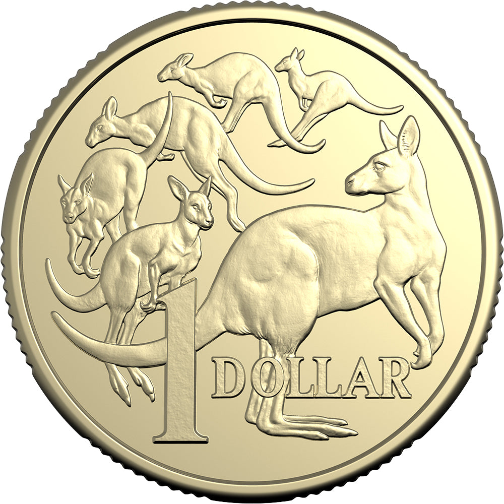 2026 $1 Mob Of Six Roos Circulating Coin Reverse