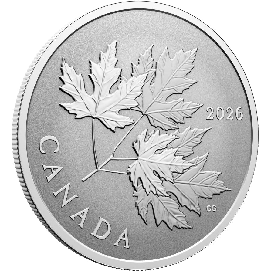 2026 Gleaming Maple Leaves 1/2oz Fine Silver Coin
