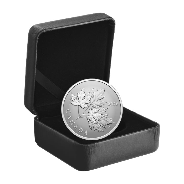 2026 Gleaming Maple Leaves 1/2oz Fine Silver Coin Case
