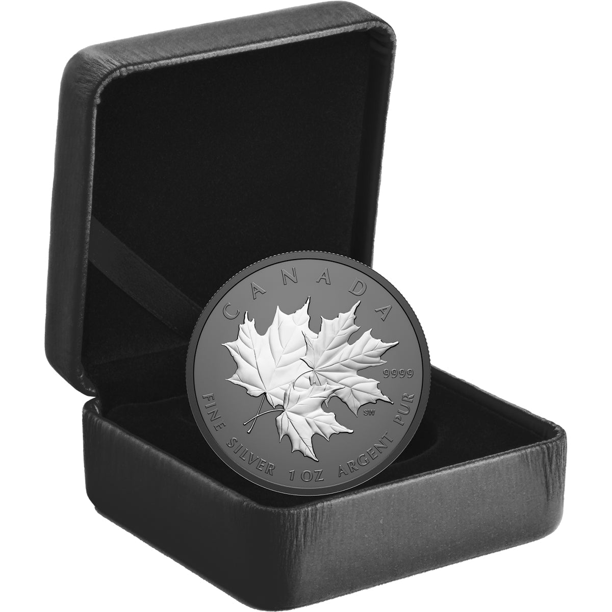 2026 Triple Maple 1oz Fine Silver Coin Case
