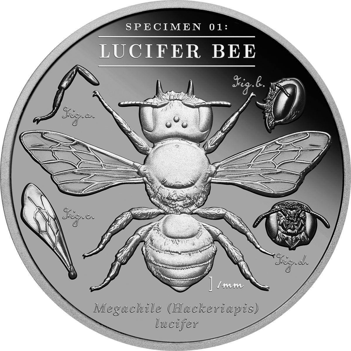 Australia's Dark Bees - 2026 Lucifer Bee 2oz Black Proof Coin Reverse