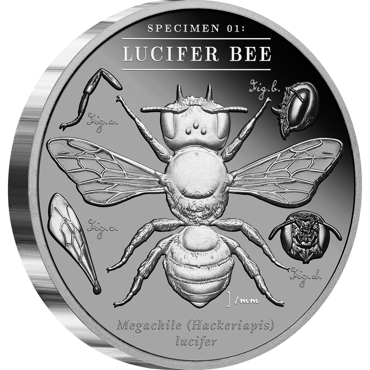 Australia's Dark Bees - 2026 Lucifer Bee 2oz Black Proof Coin