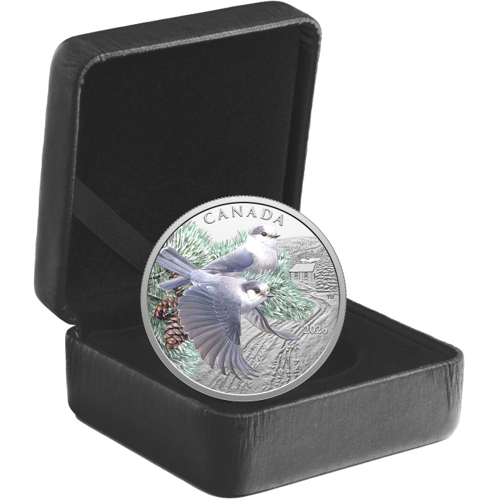Colourful Birds: Canada Jays 1oz Fine Silver Coin Case