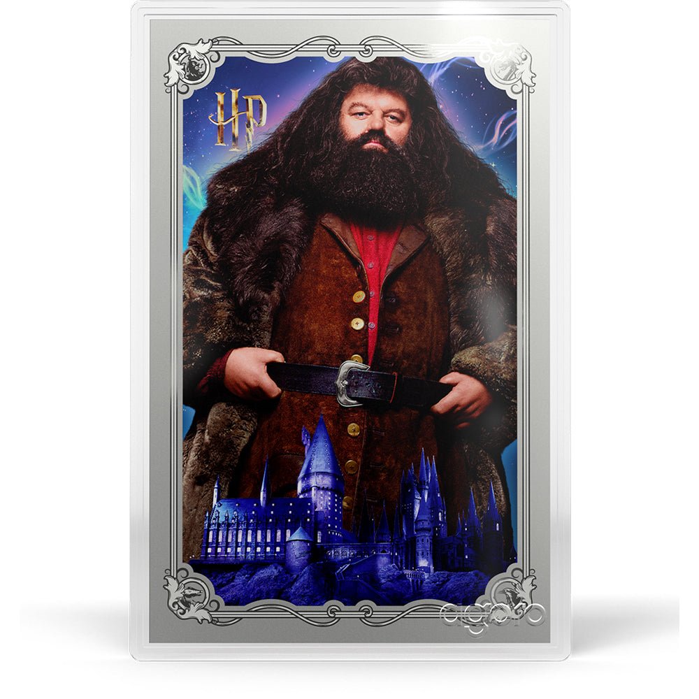 HARRY POTTER™ - 25 Years Of Magic 5g Foil Blind Box - Hagrid