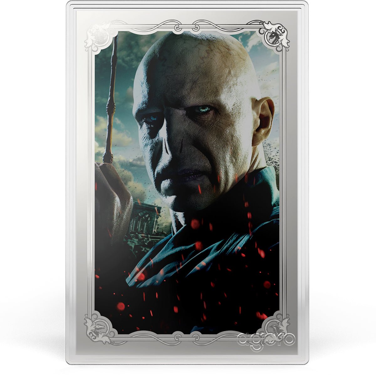 HARRY POTTER™ VS Voldemort 5g Foil Blind Box - Tier 1
