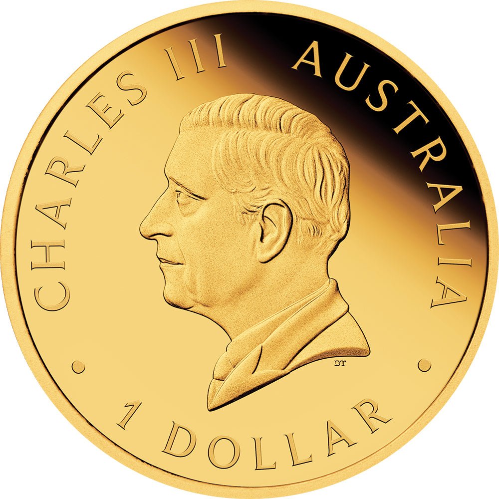Hobart Money Expo - Australian Nugget 40th Anniversary 2026 1oz Silver Proof Gold-Plated Coin Obverse