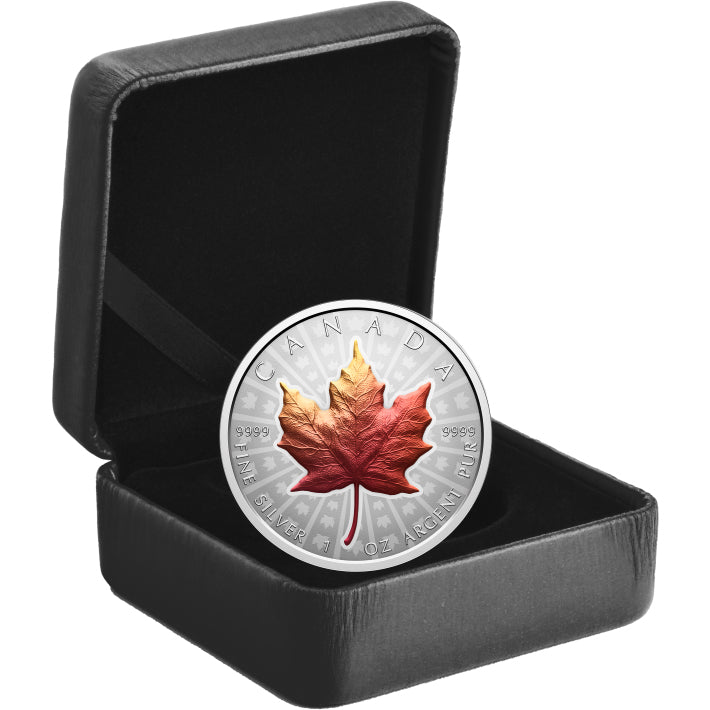 Silver Maple Leaf - 1oz Fine Silver Ultra High Relief Coin Case