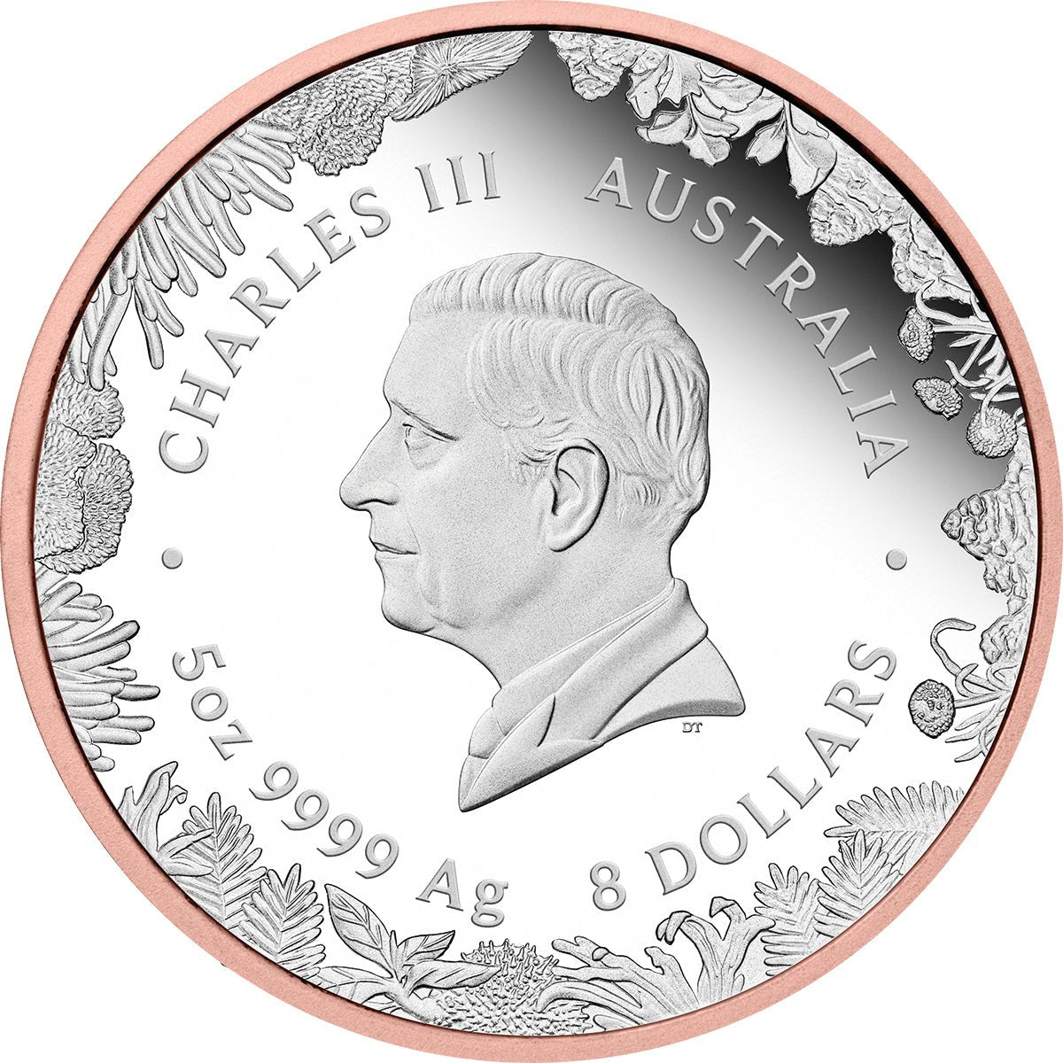 Wonders Of Australia - The Outback Kangaroo 2026 5oz Silver Proof Double Gilded Coin Obverse